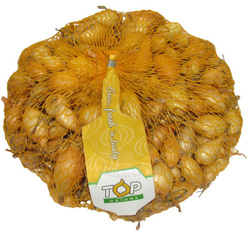 Cebula zimująca Senshyu Yellow 0,5kg