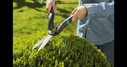 Nożyce do żywopłotu PrecisionCut