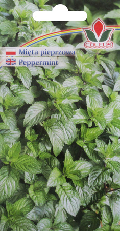 Mięta pieprzowa nasiona 0,2 g Coleus