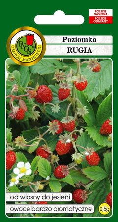 Poziomka Rugia 0,5 g