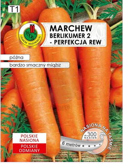 Marchew jadalna Berlikumer 2 - Perfekcja 6 m