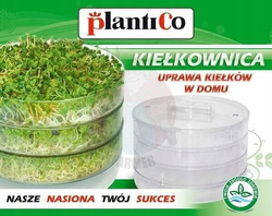 Plantico sprouting box