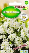 Niezapominajka biała 0,3 g POLAN