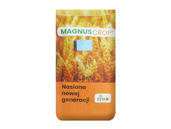 Pszenżyto ozime Belcanto nasiona kwalifikat C1