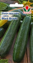 Dynia zwyczajna cukinia Black Beauty 2 g nasiona Coleus