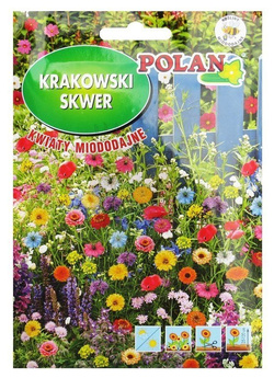 Krakowski Skwer - kwiaty miododajne 30 g