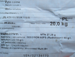 Żyto ozime Antonińskie nasiona kwalifikat C1