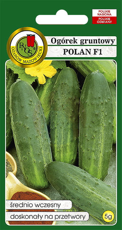 Ogórek gruntowy Polan F1 5 g