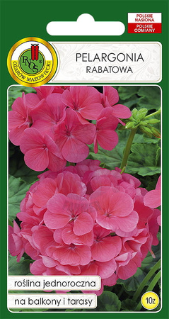 Pelargonia rabatowa F1 różowa 10 z