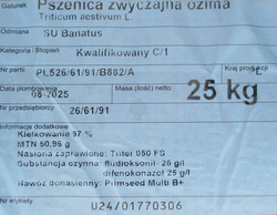 Pszenica ozima SU Banatus