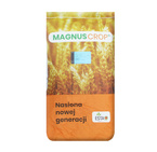 Pszenica jara Klaudyna kwalifikat C1 nasiona do siewu