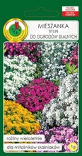 Mieszanka bylin do ogrodów skalnych 1 g PNOS