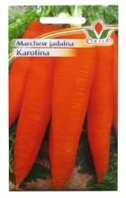 MARCHEW JADALNA KAROTINA 5g