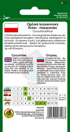 Ogórek gruntowy Polan F1 5 g