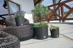 Donica Rato Round 20 mocca