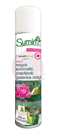 Karate Spray (AE) 300 ml