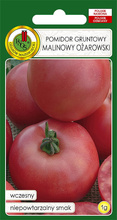 Pomidor gruntowy Malinowy Ożarowski 1 g nasiona PNOS