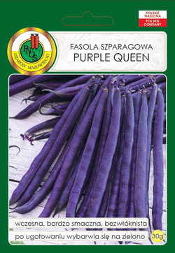 Fasola szparagowa Purple Queen 30 g PNOS