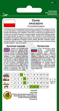 Dynia zwyczajna Patison orange 1 g