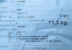 Kukurydza siewna Malongo kwalifikat C1