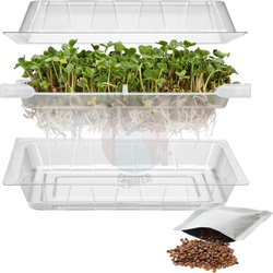 Kiełkownica Zielona Czuprynka z nasionami rzodkiewki (745748)