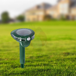 Odstraszasz solarny na kuny i inne zwierzęta