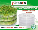 Plantico sprouting box