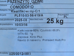 Pszenżyto ozime Comodoro nasiona kwalifikat C1