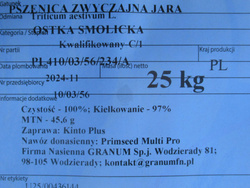 Pszenica jara Ostka Smolicka kwalifikat C1