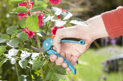 Sekator ogrodowy B/S-M 8857-20 Gardena