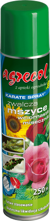 Karate spray – atomizer 250 ml