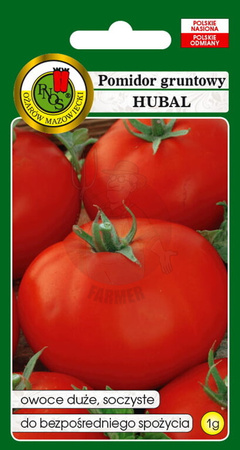 Pomidor gruntowy Hubal 1 g