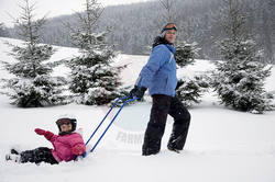 Zgarniacz do śniegu Arctic