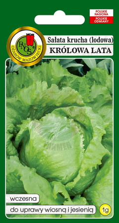 Crisp summer queen head lettuce 1 g