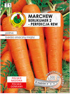 Marchew jadalna Berlikumer 2 - Perfekcja 6 m