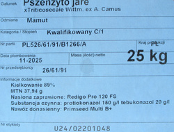 Pszenżyto jare Mamut kwalifikat C1