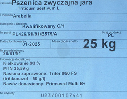 Pszenica Arabella (przewódka)