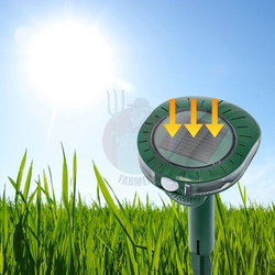 Odstraszasz solarny na kuny i inne zwierzęta