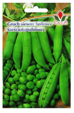 GROCH SIEWNY ŁUSKOWY SZEŚCIOTYGODNIOWY 50g