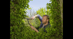 Nożyce do żywopłotu NatureCut