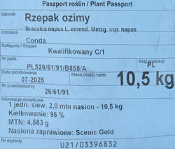 Rzepak Ozimy Corida C1