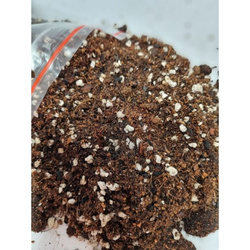 Podłoże do Calathea, Maranta, Stromanthe 5 L (..4299)