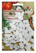 Fasola wielokwiatowa tyczna Piękny Jaś 10 g