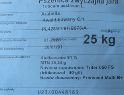 Pszenica Arabella (przewódka)