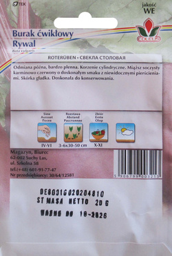 Burak ćwikłowy Rywal nasiona 20 g Coleus