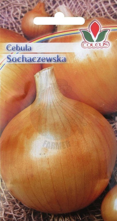 Cebula Sochaczewska 5 g