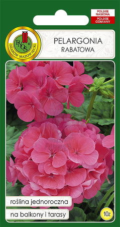 Pelargonia rabatowa F1 różowa 10 z