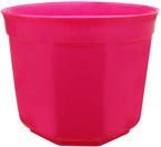 OSŁONKA 19 AMARANT PERŁA