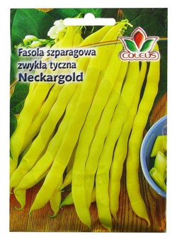 FASOLA SZPARAGOWA ZWYKŁA TYCZNA NECKARGOLD 10g