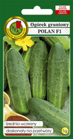 Ogórek gruntowy Polan F1 5 g